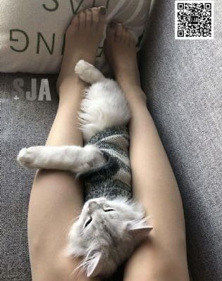 鬼父未删减_BD英语电影在线看